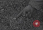 Image of land mine clearing Normandy WW2 Normandy France, 1944, second 22 stock footage video 65675079418