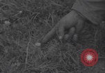 Image of land mine clearing Normandy WW2 Normandy France, 1944, second 23 stock footage video 65675079418