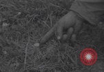 Image of land mine clearing Normandy WW2 Normandy France, 1944, second 24 stock footage video 65675079418