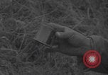 Image of land mine clearing Normandy WW2 Normandy France, 1944, second 33 stock footage video 65675079418