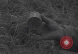 Image of land mine clearing Normandy WW2 Normandy France, 1944, second 34 stock footage video 65675079418