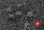 Image of land mine clearing Normandy WW2 Normandy France, 1944, second 38 stock footage video 65675079418
