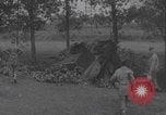 Image of wrecked German tanks Normandy Dompaire France, 1944, second 36 stock footage video 65675079420