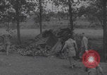 Image of wrecked German tanks Normandy Dompaire France, 1944, second 37 stock footage video 65675079420