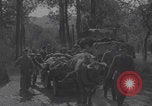 Image of German prisoners digging graves Normandy Dompaire France, 1944, second 4 stock footage video 65675079421