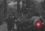 Image of German prisoners digging graves Normandy Dompaire France, 1944, second 8 stock footage video 65675079421