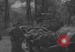 Image of German prisoners digging graves Normandy Dompaire France, 1944, second 9 stock footage video 65675079421