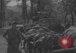 Image of German prisoners digging graves Normandy Dompaire France, 1944, second 10 stock footage video 65675079421