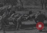 Image of German prisoners digging graves Normandy Dompaire France, 1944, second 15 stock footage video 65675079421