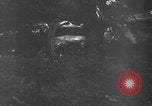 Standbild Bomberwrack Europa, 1944, aus Sekunde 6 historischem Filmmaterial Videoclip 65675079425