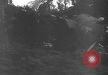 Standbild Bomberwrack Europa, 1944, aus Sekunde 18 historischem Filmmaterial Videoclip 65675079425