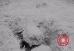 Image of German soldier in foxhole France, 1944, second 4 stock footage video 65675079429