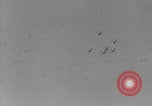 Image of British invade Normandy Normandy France, 1944, second 15 stock footage video 65675079430