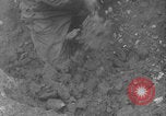 Image of soldiers on Omaha Beach WW2 Normandy France, 1944, second 28 stock footage video 65675079431