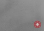Image of German air defenses Normandy WW2 Normandy France, 1944, second 61 stock footage video 65675079439