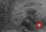 Image of French allied bombing casualties WW2 Normandy France, 1944, second 47 stock footage video 65675079440