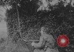 Image of German troops capture tanks and POWs Normandy France, 1944, second 16 stock footage video 65675079442
