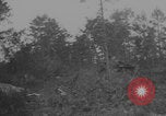 Image of German troops capture tanks and POWs Normandy France, 1944, second 25 stock footage video 65675079442