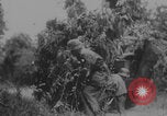 Image of German troops capture tanks and POWs Normandy France, 1944, second 36 stock footage video 65675079442
