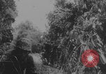 Image of German troops capture tanks and POWs Normandy France, 1944, second 39 stock footage video 65675079442