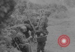 Image of German troops capture tanks and POWs Normandy France, 1944, second 40 stock footage video 65675079442