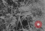 Image of German troops capture tanks and POWs Normandy France, 1944, second 57 stock footage video 65675079442
