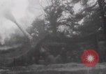 Image of United States troops hedgerow warfare Normandy France, 1944, second 25 stock footage video 65675079444
