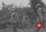 Image of United States troops hedgerow warfare Normandy France, 1944, second 36 stock footage video 65675079444