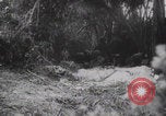 Image of V-1 launching Germany Normandy France, 1944, second 1 stock footage video 65675079446