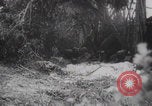 Image of V-1 launching Germany Normandy France, 1944, second 3 stock footage video 65675079446