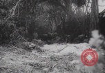Image of V-1 launching Germany Normandy France, 1944, second 4 stock footage video 65675079446