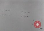 Image of United States troops capture Saint-Gilles Saint-Gilles France, 1944, second 6 stock footage video 65675079450