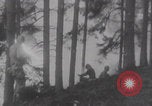 Immagine di Le forze degli Stati Uniti liberano le città francesi WW2 Francia, 1944, secondo 53 filmato di repertorio 65675079452
