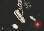Immagine di Intervista alla celebrità Giovanna Ferrara Newark New Jersey USA, 1957, secondo 11 filmato di repertorio 65675079453