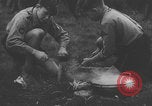 Image Camp d'entraînement militaire des Jeunesses hitlériennes Allemagne, 1943, de la seconde 11 séquences d'archives historiques vidéo 65675079471