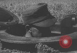 Immagine di Le truppe tedesche della Wehrmacht avanzano Kharkov-Rostov Kharkov RSS Ucraina Unione Sovietica, 1943, secondo 62 filmato di repertorio 65675079474