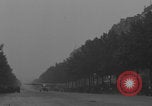 Image of Piper Cub flying Avenue des Champs Elysees Paris France, 1944, second 12 stock footage video 65675079487
