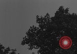 Image of Piper Cub flying Avenue des Champs Elysees Paris France, 1944, second 29 stock footage video 65675079487