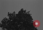Image of Piper Cub flying Avenue des Champs Elysees Paris France, 1944, second 30 stock footage video 65675079487