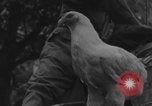 Image of US soldiers drinking cognac Paris France, 1944, second 7 stock footage video 65675079493