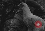 Image of US soldiers drinking cognac Paris France, 1944, second 8 stock footage video 65675079493