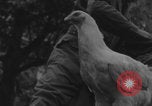 Image of US soldiers drinking cognac Paris France, 1944, second 9 stock footage video 65675079493