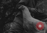 Image of US soldiers drinking cognac Paris France, 1944, second 10 stock footage video 65675079493