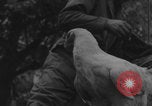 Image of US soldiers drinking cognac Paris France, 1944, second 11 stock footage video 65675079493