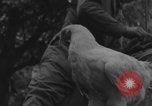 Image of US soldiers drinking cognac Paris France, 1944, second 12 stock footage video 65675079493