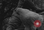 Image of US soldiers drinking cognac Paris France, 1944, second 13 stock footage video 65675079493