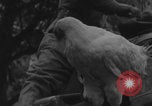 Image of US soldiers drinking cognac Paris France, 1944, second 14 stock footage video 65675079493