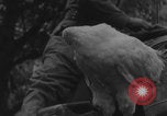 Image of US soldiers drinking cognac Paris France, 1944, second 15 stock footage video 65675079493