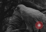 Image of US soldiers drinking cognac Paris France, 1944, second 16 stock footage video 65675079493
