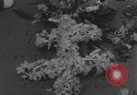 Image of General Charles de Gaulle lay wreath Tomb of the Unknown Warrior  Paris France, 1944, second 53 stock footage video 65675079506